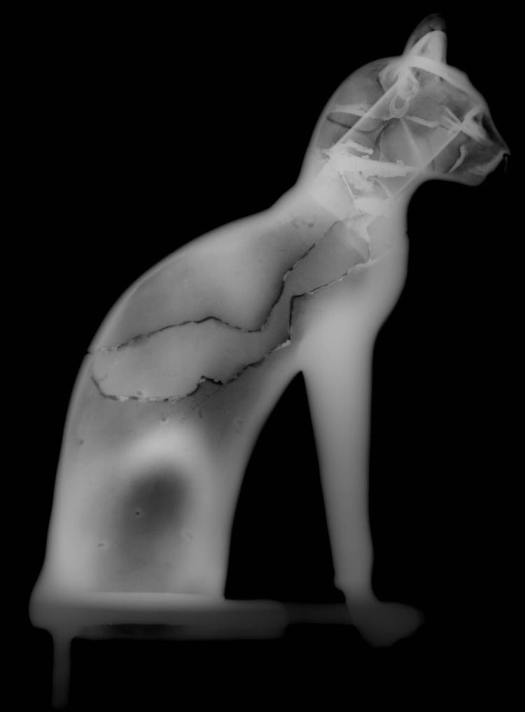 El gato de Gayer-Anderson (42 cm de altura) radiografiado de perfil (Foto British Museum)