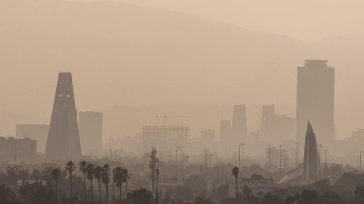 La contaminación del aire es el mayor riesgo ambiental para la salud, según la OMS (Shutterstock)