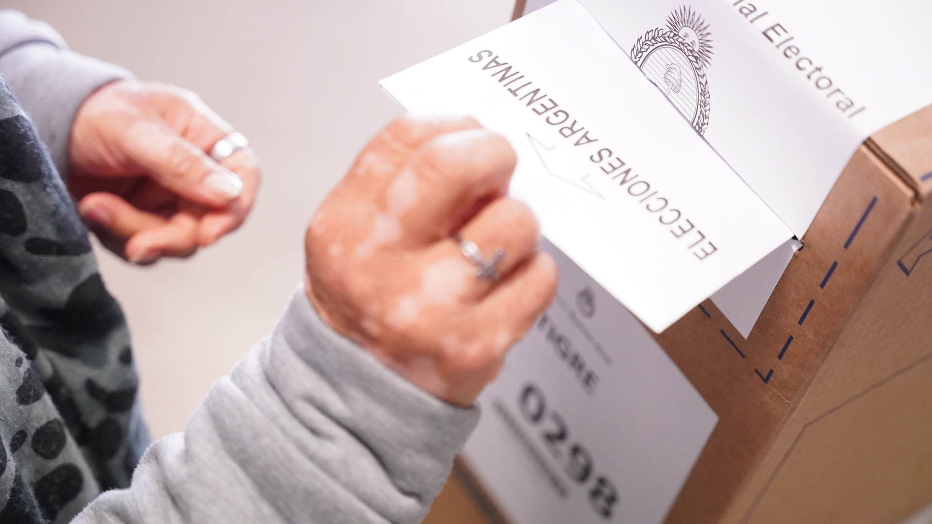 En las elecciones se votarán presidente, vicepresidente, la mitad de la Cámara Baja y un tercio de la Cámara Alta del Congreso de la Nación y representantes del Parlasur (Franco Fafasuli)