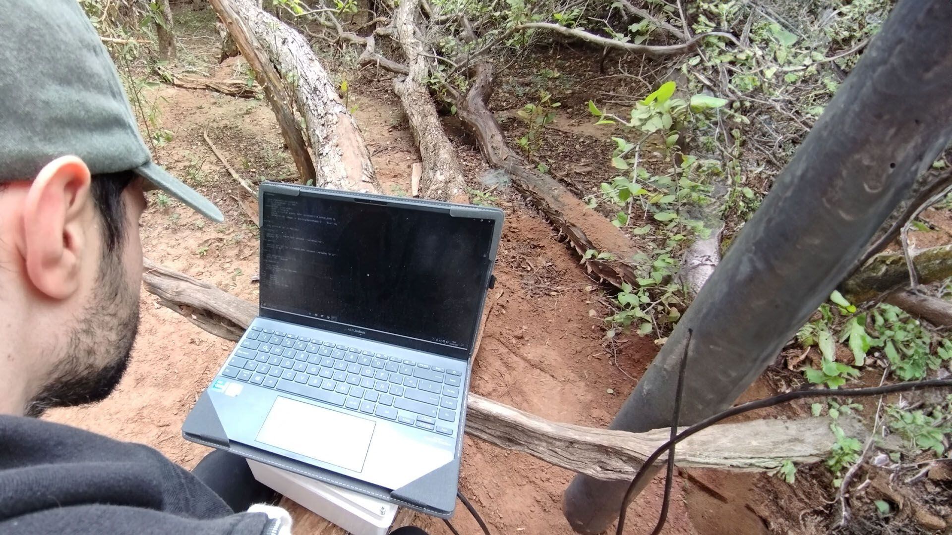 SiMonA facilita información para quienes luchan contra la deforestación o la caza de especies (UCASAL)