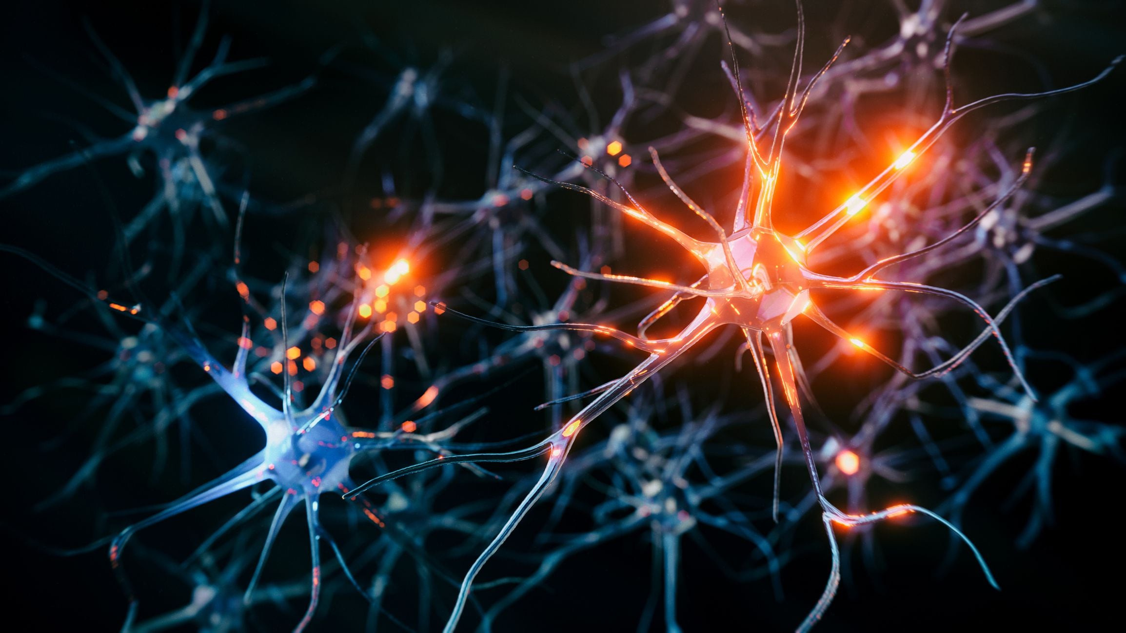 El estudio del CRG de Barcelona sugiere que las neuronas humanas podrían tener sus raíces en células peptidérgicas de organismos marinos milenarios (GETTY IMAGES)