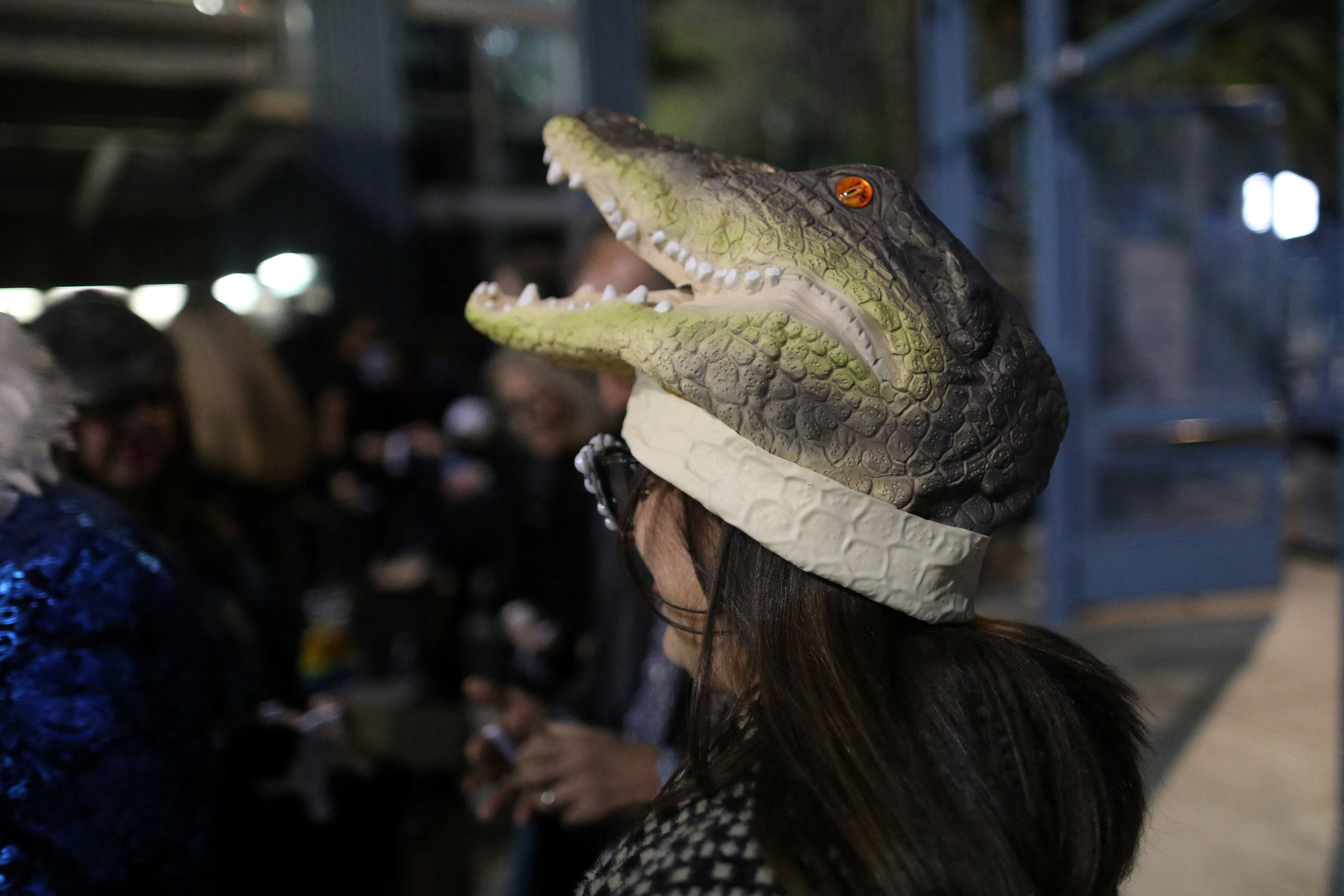 Un fan entra para ver la actuación de Elton John, con un gorro en forma de cocodrilo (REUTERS/David Swanson)