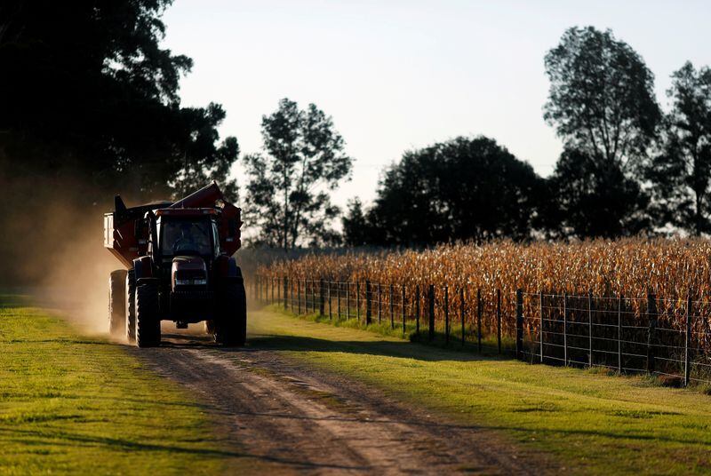 Foto de archivo: un tractor circula al costado de una plantación de maíz en Chivilcoy, provincia de Buenos Aires, Argentina.  8 abr, 2020. REUTERS/Agustin Marcarian