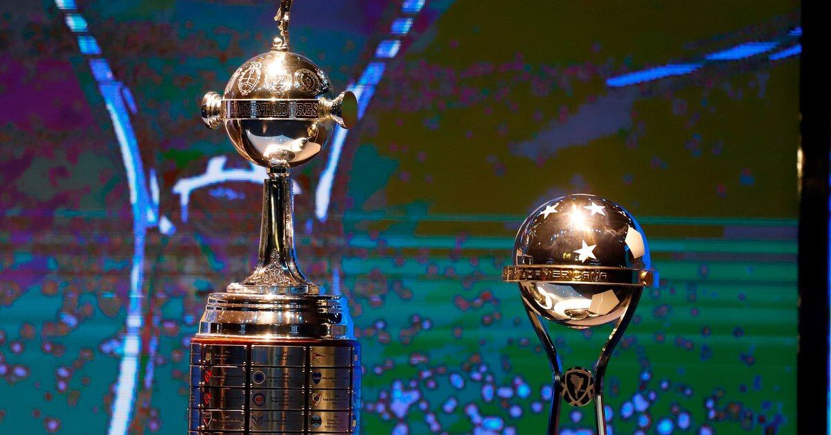 MinSalud must decide whether to authorize the entry of Brazilian teams through Libertadores