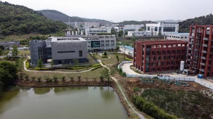 El Instituto de Virología de Wuhan (AFP)