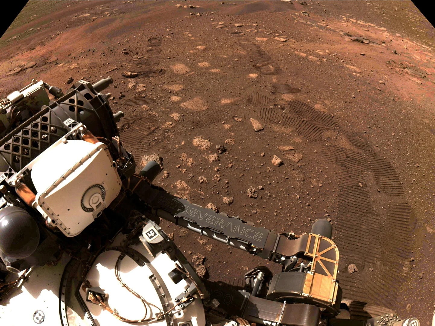 Hallaron evidencias de diversas moléculas orgánicas en el cráter de Jezero en Marte 