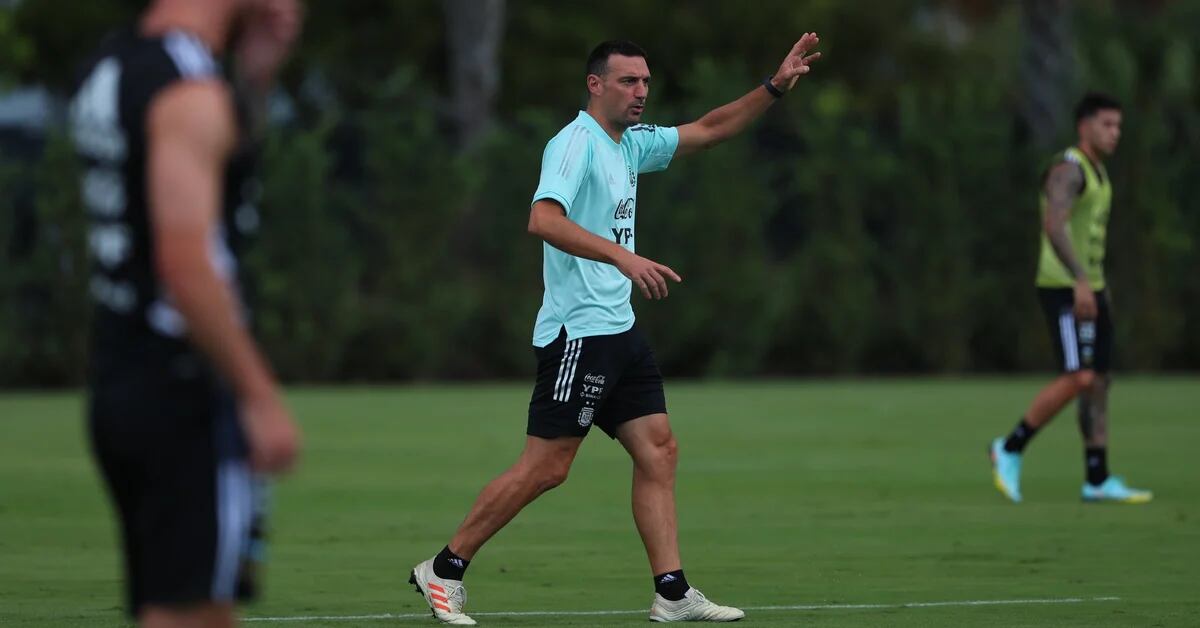 Changes analyzed by Lionel Scaloni for Argentina’s upcoming friendly against Jamaica