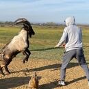 @zabit_magomedsharipov