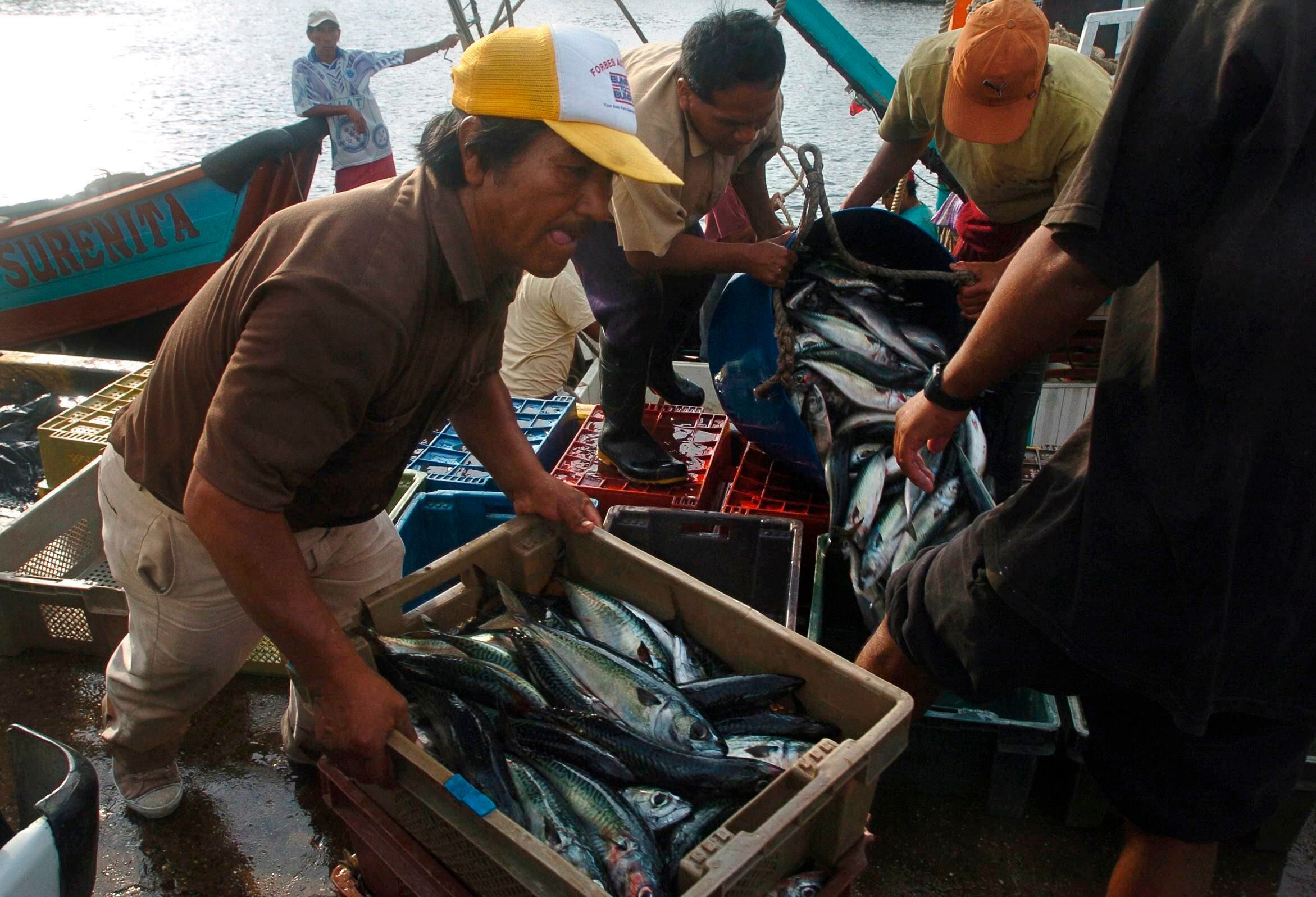 Fotografía de archivo en la que se registró a un grupo de pescadores artesanales, durante su faena de recolección, en el Puerto de Ilo, en el departamento de Moquegua. EFE/Sergio Urday 