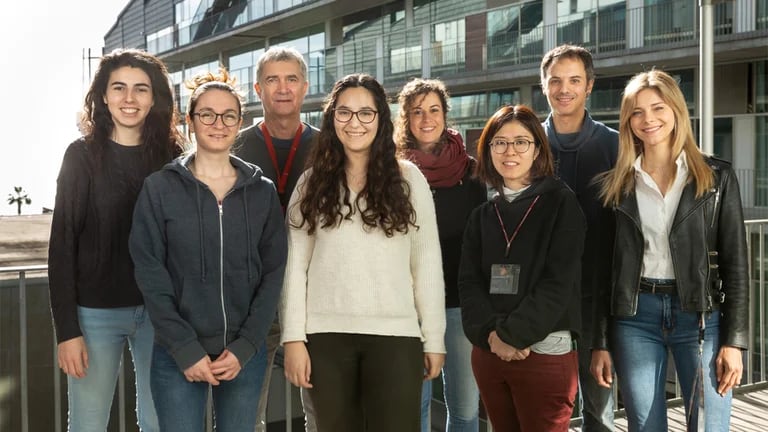 Un equipo de investigadores del Grupo de Investigación en Biología de la Infección de la Universidad Pompeu Fabra de Esp 