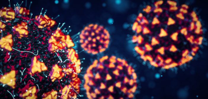 Las diferentes especies de coronavirus comparten una proteína que usan para entrar en las células. Esa proteína podría ser el blanco de un potencial fármaco que la bloquee en el futuro, según el estudio publicado en la revista Science Signaling