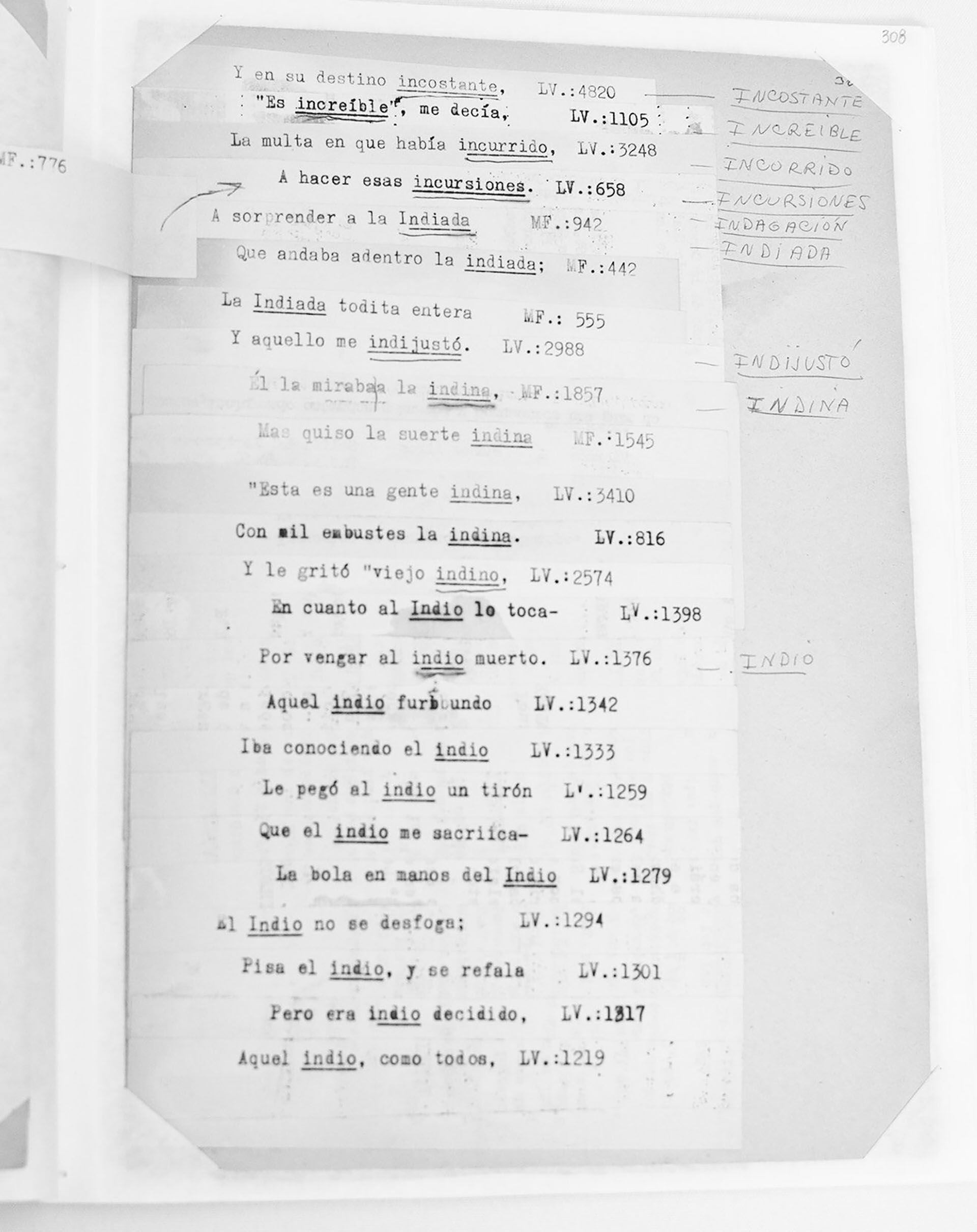 El Lexicón verbae del Martín Fierro,documento inédito de Guillermo Furlong
