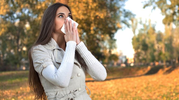 Una de cada tres personas que padecen alergia no lo sabe (Shutterstock)