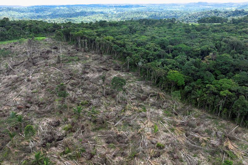 Vista aérea de un área deforestada durante una operación para combatir la deforestación cerca de Uruara, estado de Pará (REUTERS/Ueslei Marcelino/Archivo)
