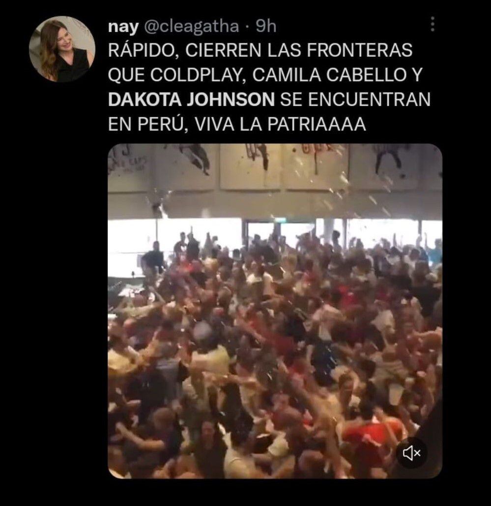 Fans celebraron la llegada de Dakota Johnson al Perú. (Twitter)