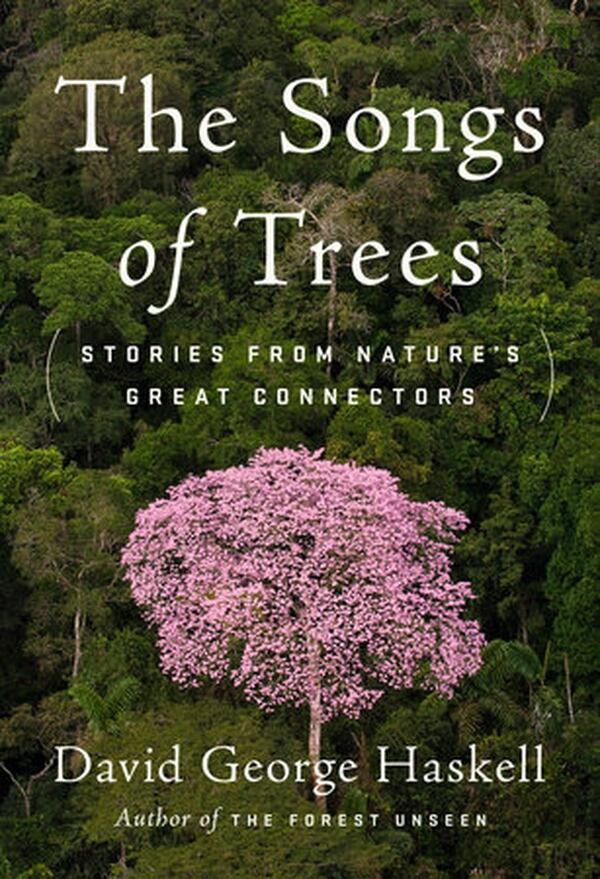 David Haskell estudia las redes de comunicación entre los árboles, que incluyen a las personas.