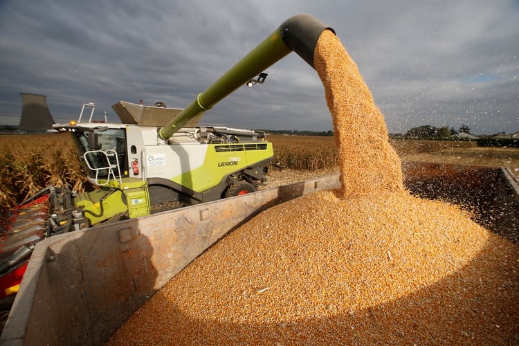 Agricultores franceses cosechan un campo de maíz en Bouchain (Reuters)