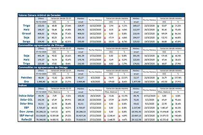  Detalle de la evolución de los mercados de commodities en lo que va del año, según datos de la Bolsa de Comercio de Rosario (Infografía: Bolsa de Comercio de Rosario) 
