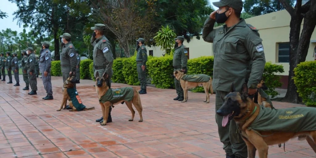 Crearon el Registro Nacional de Animales de Apoyo de las fuerzas de seguridad