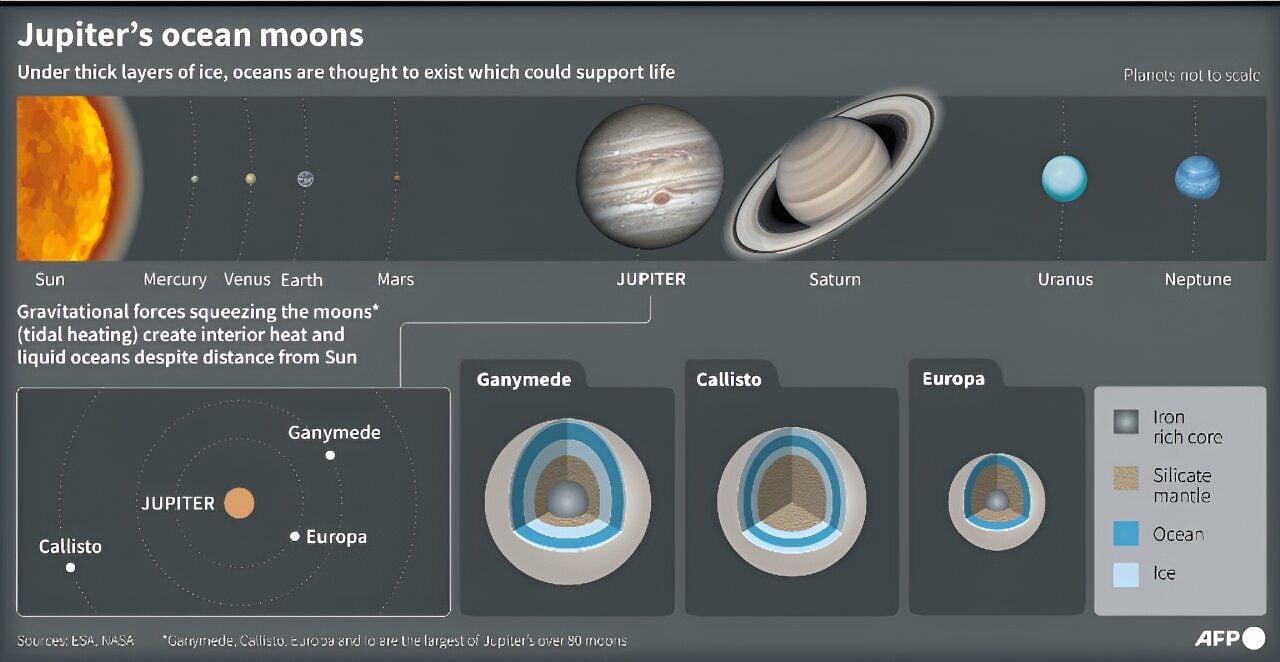 Las grandes lunas de Júpiter, serán estudiadas por otros dos satélites en los próximos años (NASA/ESA - AFP)