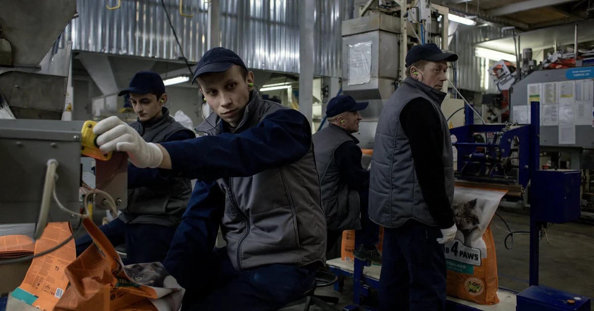 This is how a Ukrainian business survived and thrived through a year of war