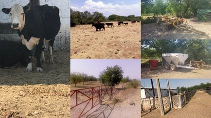 El gobierno de Chihuahua incautó cuatro ranchos a César Duarte en donde se hallaron, además de animales exóticos, cientos de reses que el ex mandatario habría robado de un programa para pequeños ganaderos. En conjunto tienen una extensión de 2,344 hectáreas (Foto: Twitter@ComSocChih)