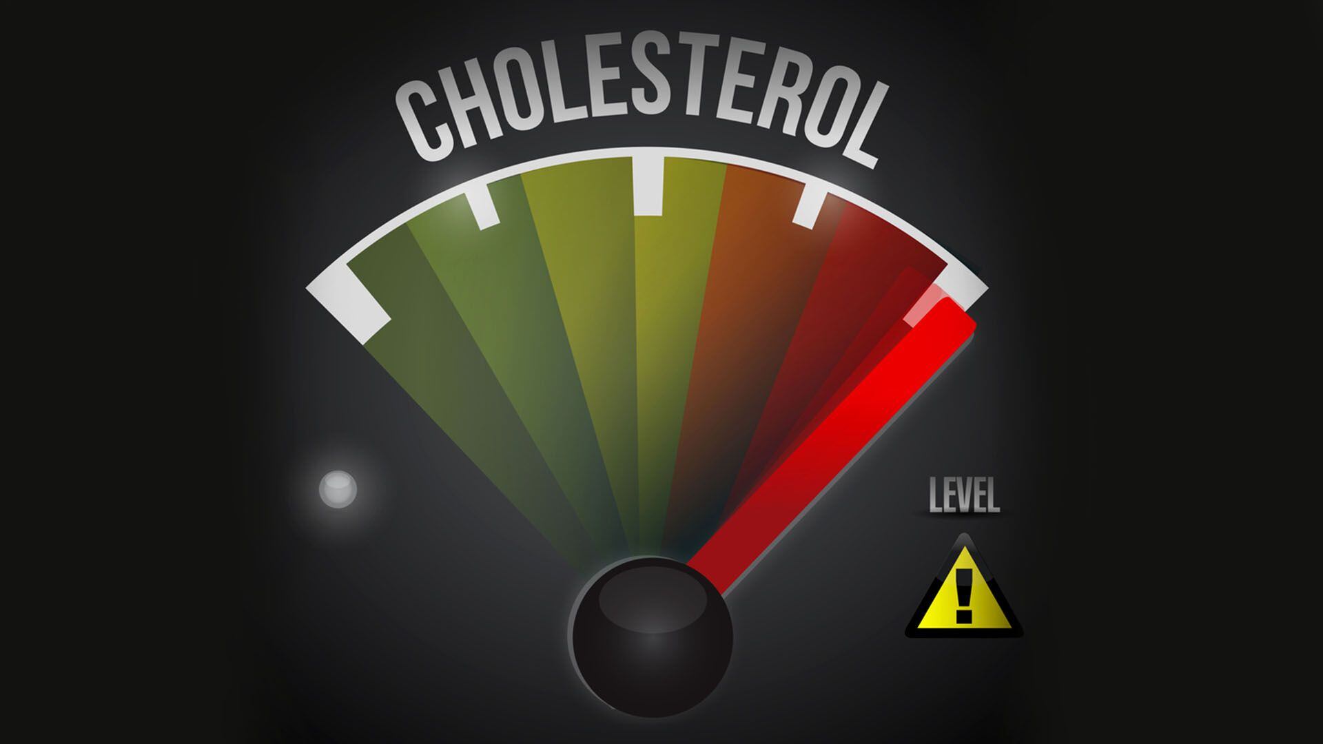 Es importante hacer análisis de sangre periódicos para monitorear los niveles de colesterol en sangre (162)