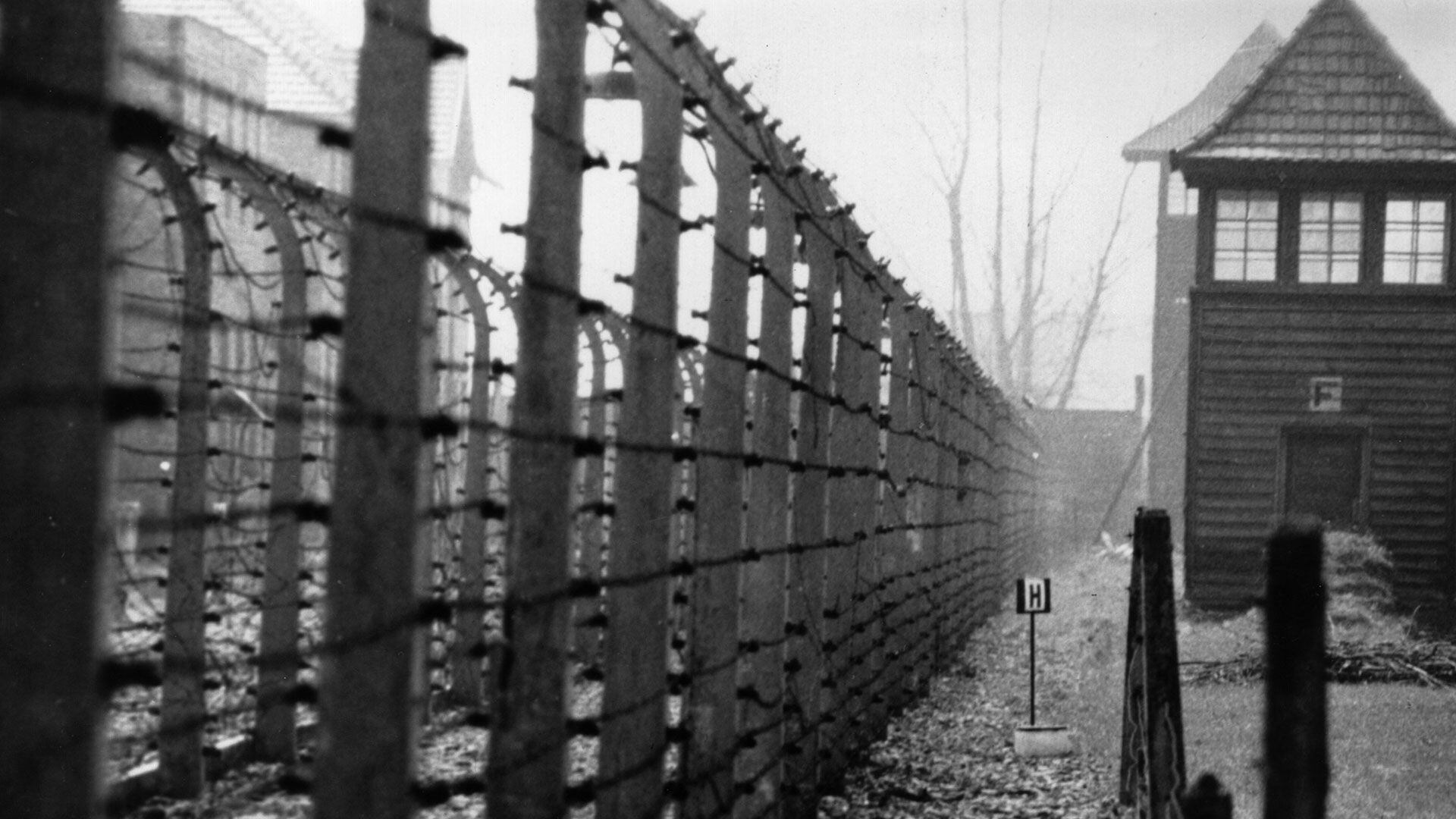 Recordamos hoy el Día Internacional en Memoria del las Víctimas del Holocausto