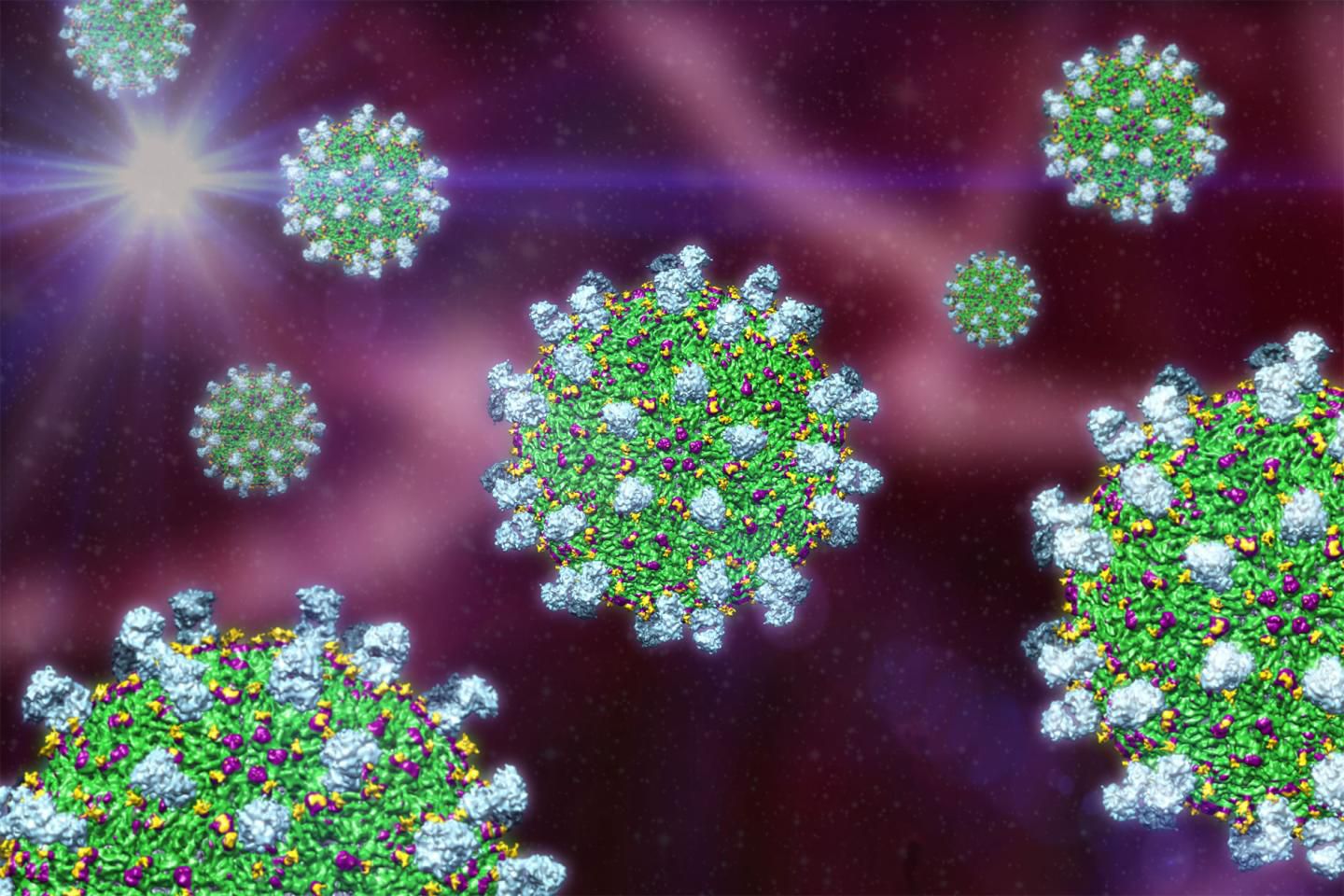 CAPTION This is a reconstructed visual of dengue virus serotype 3 bound with antigen-binding fragments of super-potent antibody 5J7  CREDIT Guntur Fibriansah  USAGE RESTRICTIONS Please give credit to the source of the image and Duke-NUS Graduate Medical School Singapore.