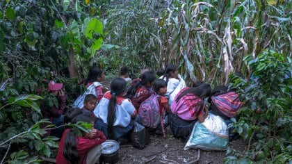 Brigada distribuye alimentos a pobladores de Tabak, Aldama y Chiapas cuando son atacados por un grupo civil armado (Foto de Frayba.org)