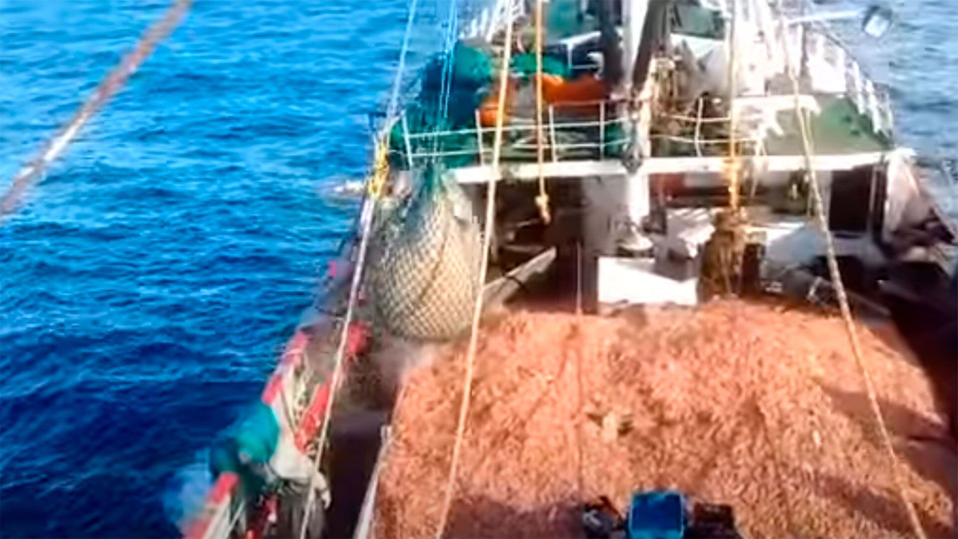 pesca de langostinos en el Mar Argentino