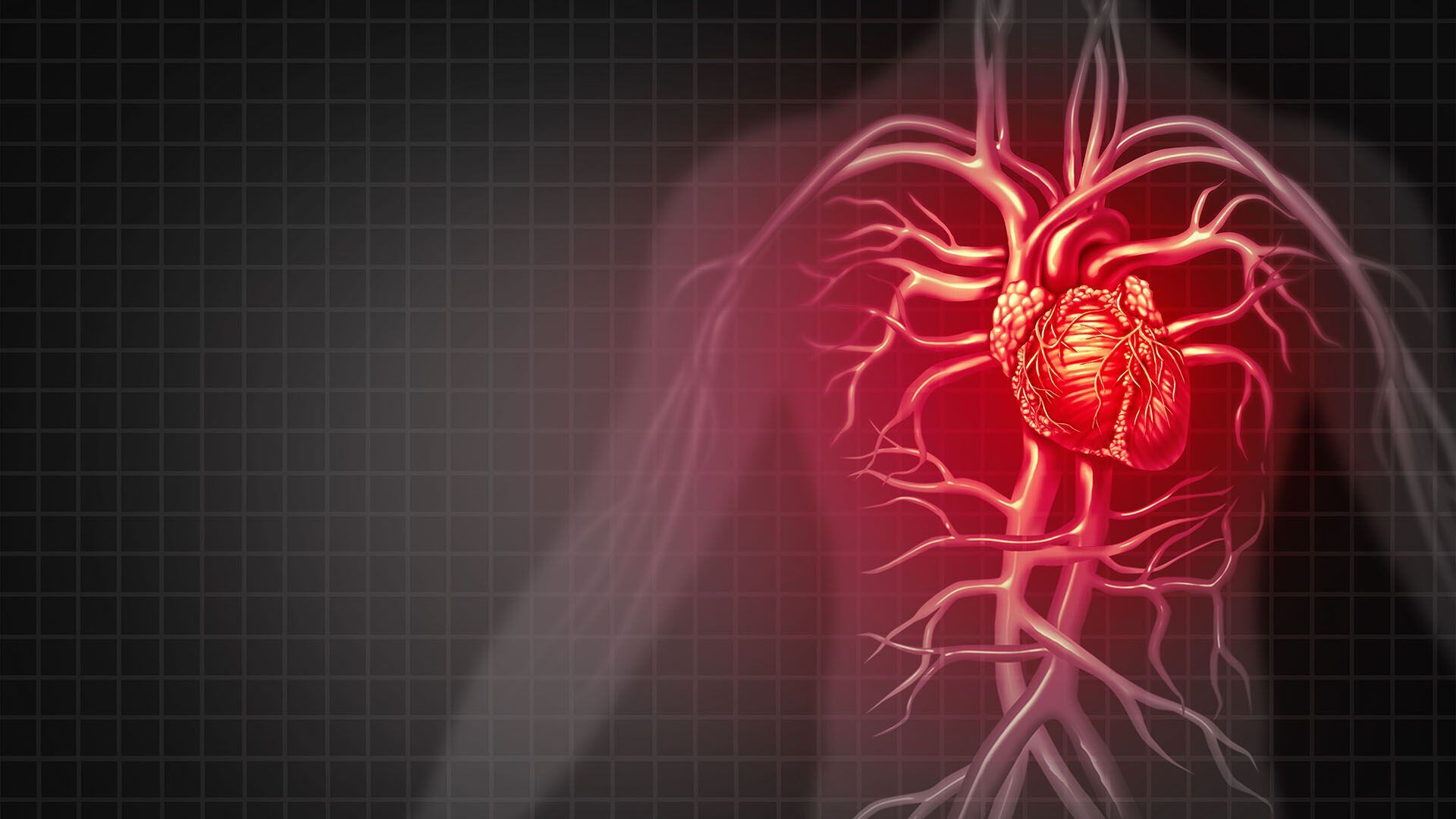 Mientras la transmisión vectorial a través de la vinchuca es la forma más común de infección, también se puede transmitir de persona a persona, por transfusiones sanguíneas, trasplantes y de madre a feto.
Getty