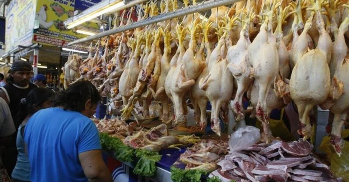 Avisur warns of a shortage of eggs and chickens in the markets of Lima and other cities