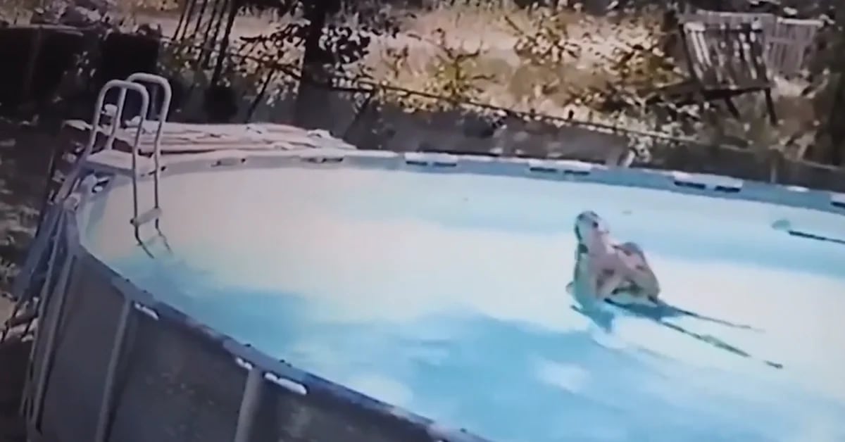 The dramatic moment a boy saves his mother while she has an epileptic fit in the pool