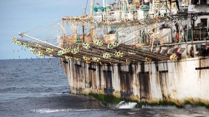 La flota pesquera china puede ser observada a travs del sistema de monitoreo de Global Fishing Watch