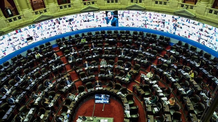 La Cámara de Diputados con su nueva disposición para sesiones remotas (Telam)