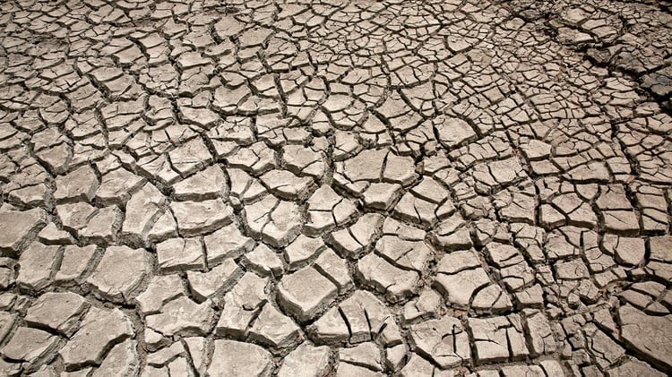 Las últimas precipitaciones en la región núcleo solo dejaron “preocupación” y se profundiza el período de seca. REUTERS/David Mercado