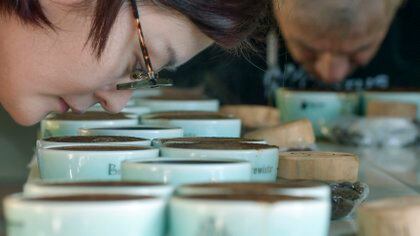 Para juzgar la calidad del café los expertos analizan cuatro componentes básicos: aroma, cuerpo, acidez y sabor. (Luis ACOSTA / AFP)