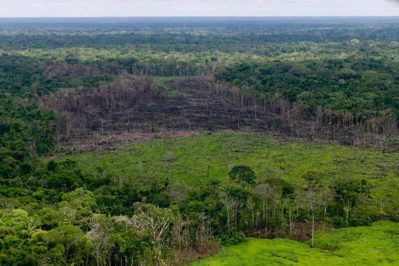 La deforestación en Colombia pasó de 174.103 hectáreas deforestadas en 2021 a 123.517 en 2022.  Presidencia de Colombia