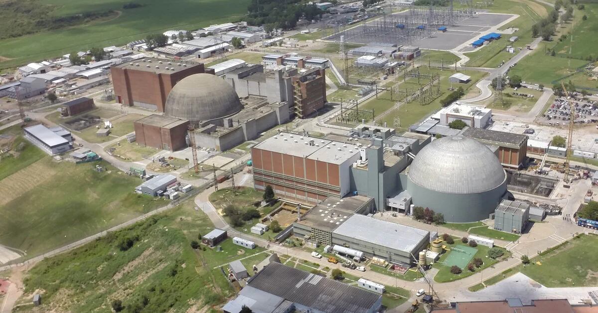 Why Atucha I had to stop its production, according to nuclear power plant specialists
