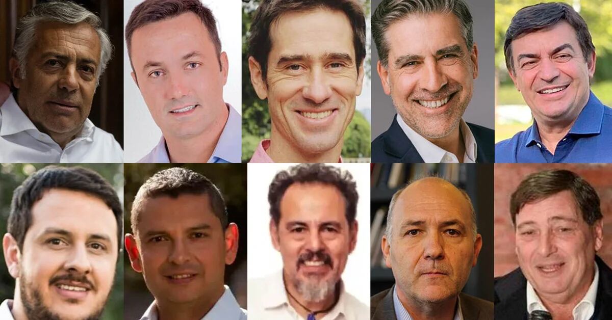 2023 elections in Mendoza: who are the pre-candidates for governor, one by one