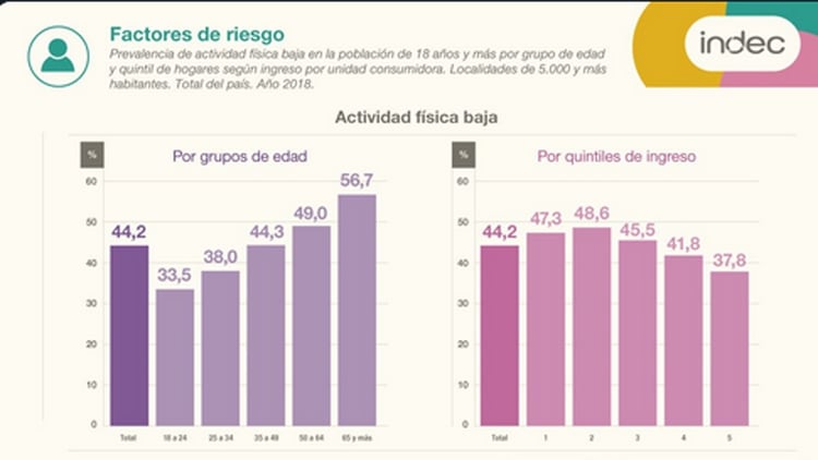 Factores de riesgo: 44,2% de la población presentó actividad física baja en 2018. La prevalencia fue del 33,5% en los jóvenes de entre 18 y 24 años, y del 56,7% en los mayores de 65 (INDEC)