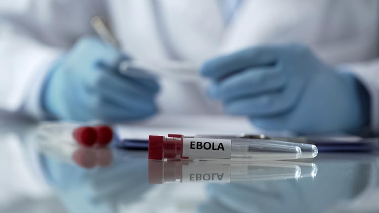 El contexto en el que estalla una epidemia de un patógeno de alta amenaza como el Ébola es crítico (Shutterstock)
