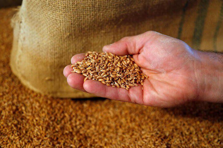 Los cereales deben ser una parte importante de nuestra dieta - REUTERS/Francois Lenoir