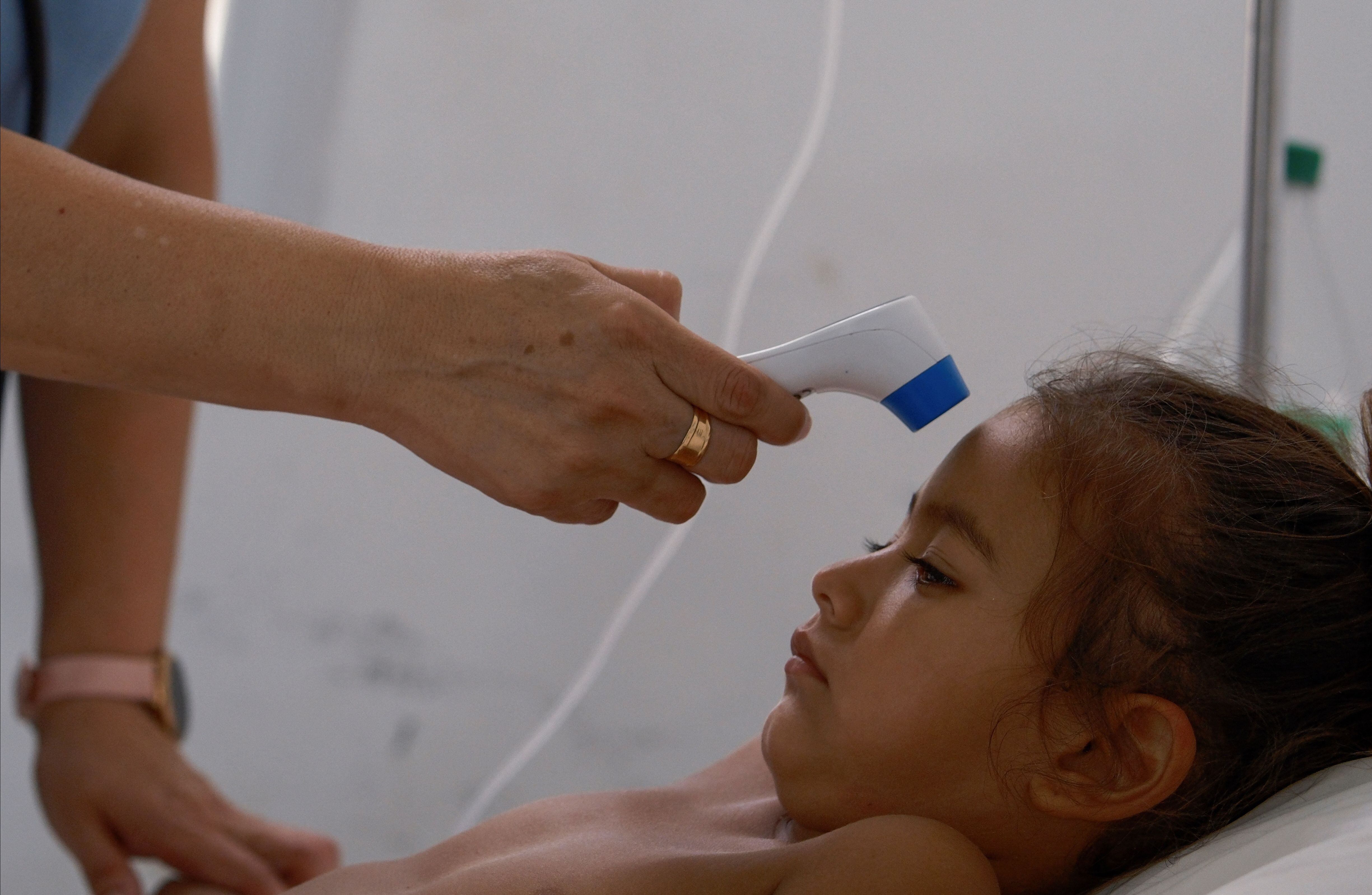 Varios niños han sido atendidos en las guardias por sus síntomas relacionados con dengue (REUTERS/Javier Corbalan)