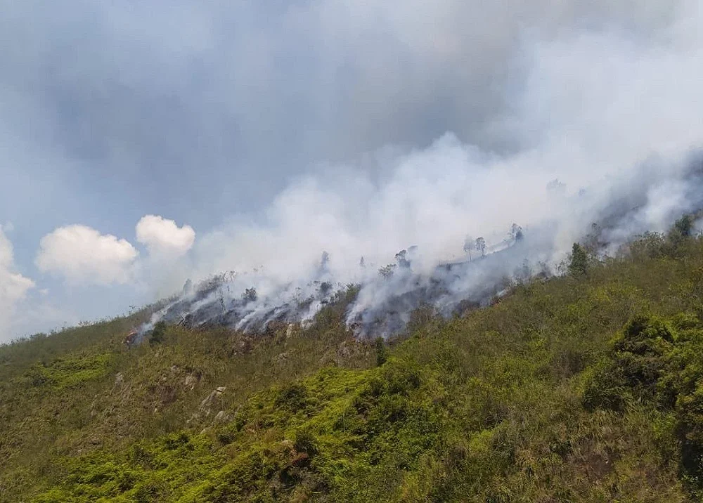 Incendios en Santander dejan saldo de 23 hectáreas afectadas