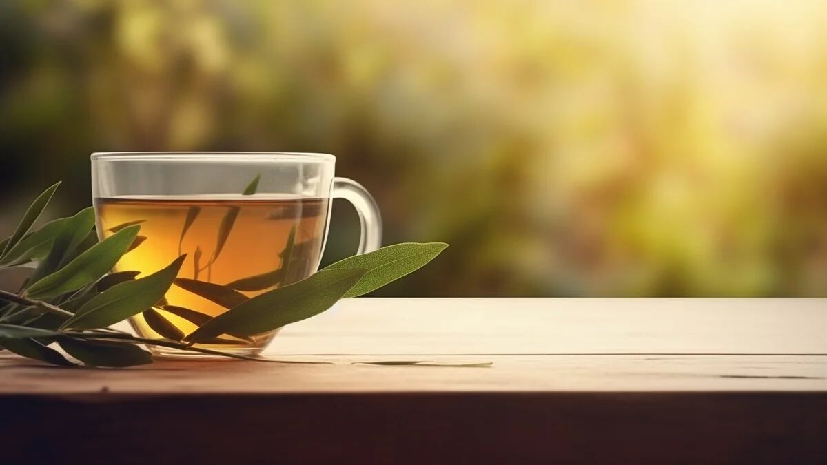 TE MATCHA ¿Qué pasa si tomas té matcha todos los días?: los resultados  saltarán a la vista rápidamente