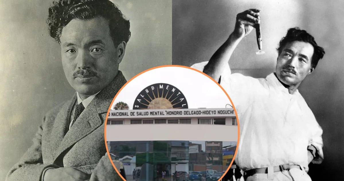 Who is Hideo Noguchi and why is a mental health institute named after him?