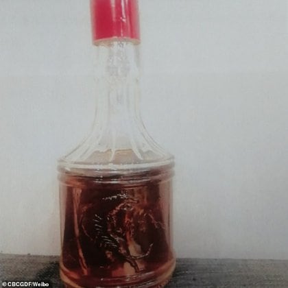 El "vino de hueso de tigre" está prohibido en China desde 1993 pero era vendido en este refugio a 765 dólares la botella (Weibo CBCGDF)