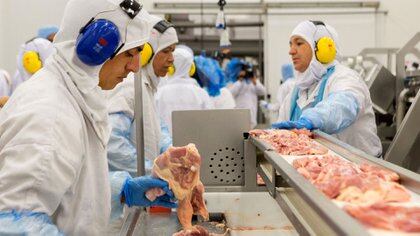 Crisis en la exportación de carne de pollo en Brasil 